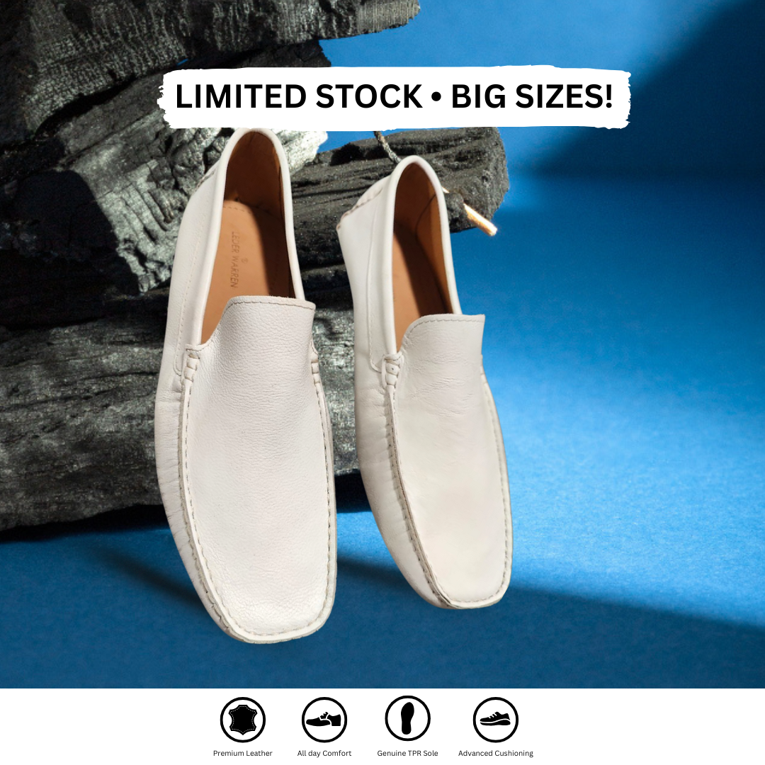 Mens Loafer Shoes LW197538